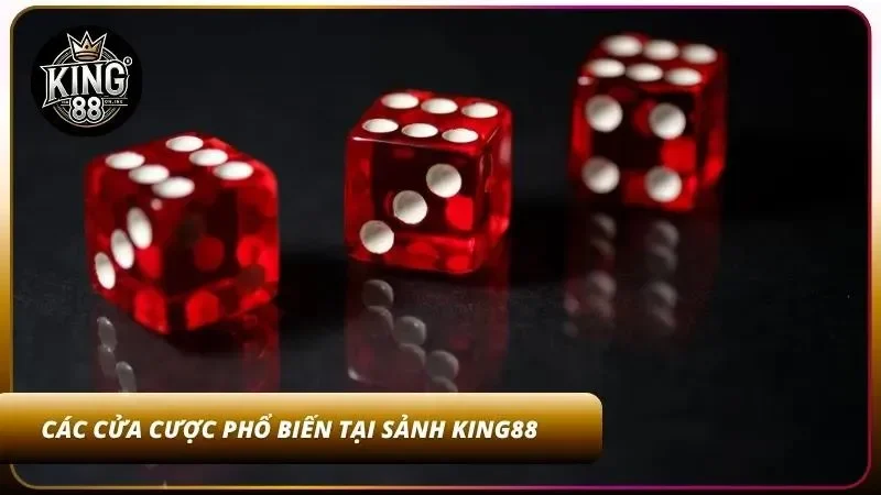 Các cửa cược cơ bản anh em có thể biết