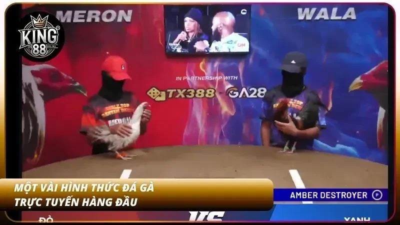 Các loại hình đá gà online hấp dẫn