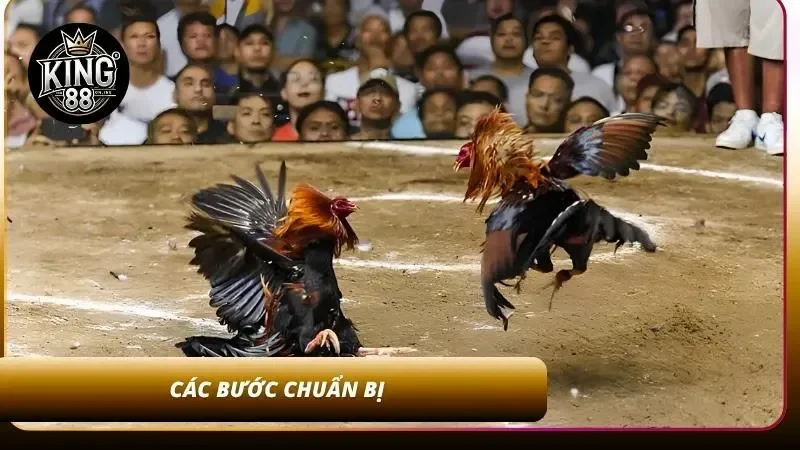 Quy tắc trước khi bắt đầu trận đấu
