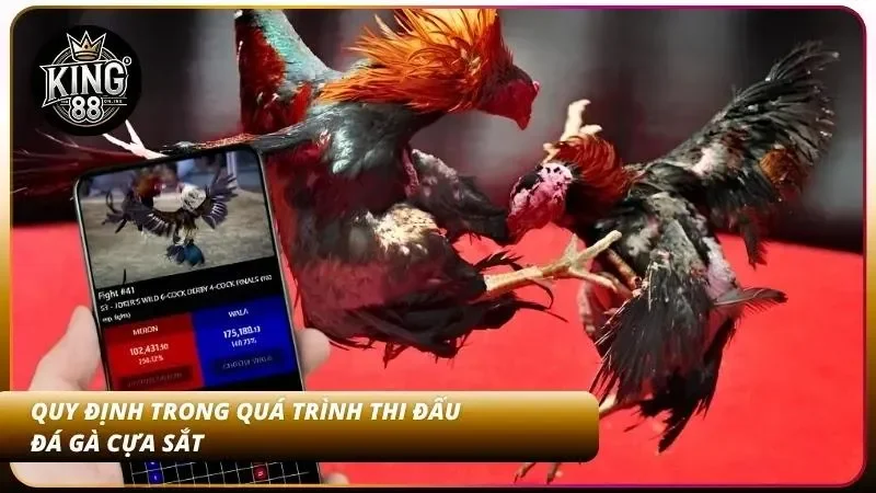 Nguyên tắc thi đấu dễ hiểu