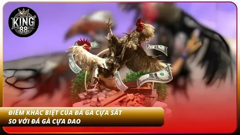 Phân biệt đá gà cựa sắt với cựa dao dễ hiểu