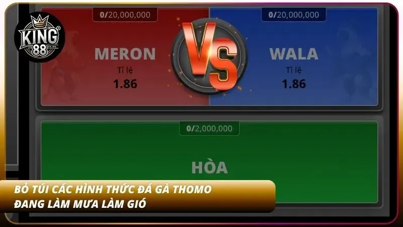 Cách Cược Đá Gà Thomo Tại King88 - Livestream HD Cực Đã 4 Top 3 loại hình đá gà Thomo nổi bật